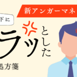 新！アンガーマネジメントとは？会社で部下にイラっとしたときの処方箋